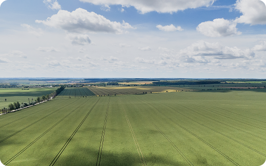 Persönliches Gespräch